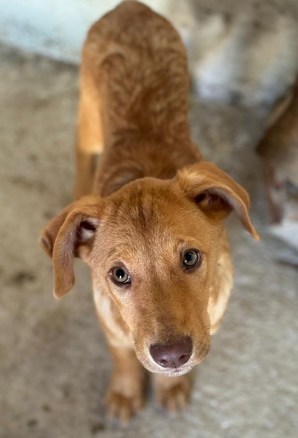 Alex, Paolo & Trilly Foto 4